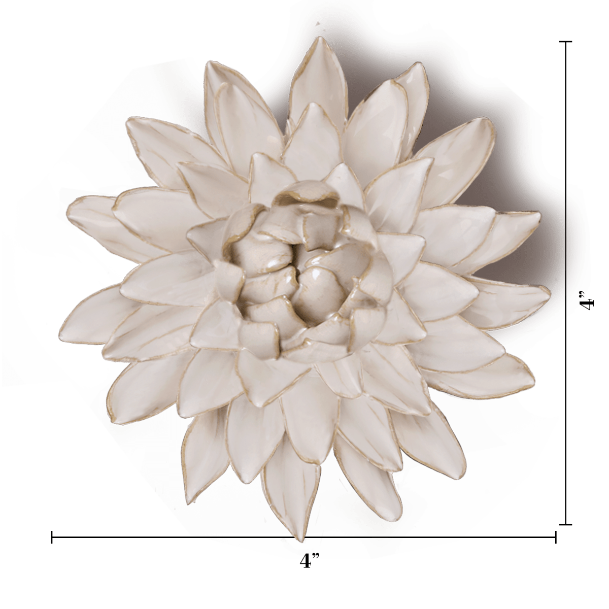 CO10 Coastal Ivory Strawflower - Coastal - Chive UK Wholesale