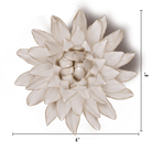 CO10 Coastal Ivory Strawflower - Coastal - Chive UK Wholesale