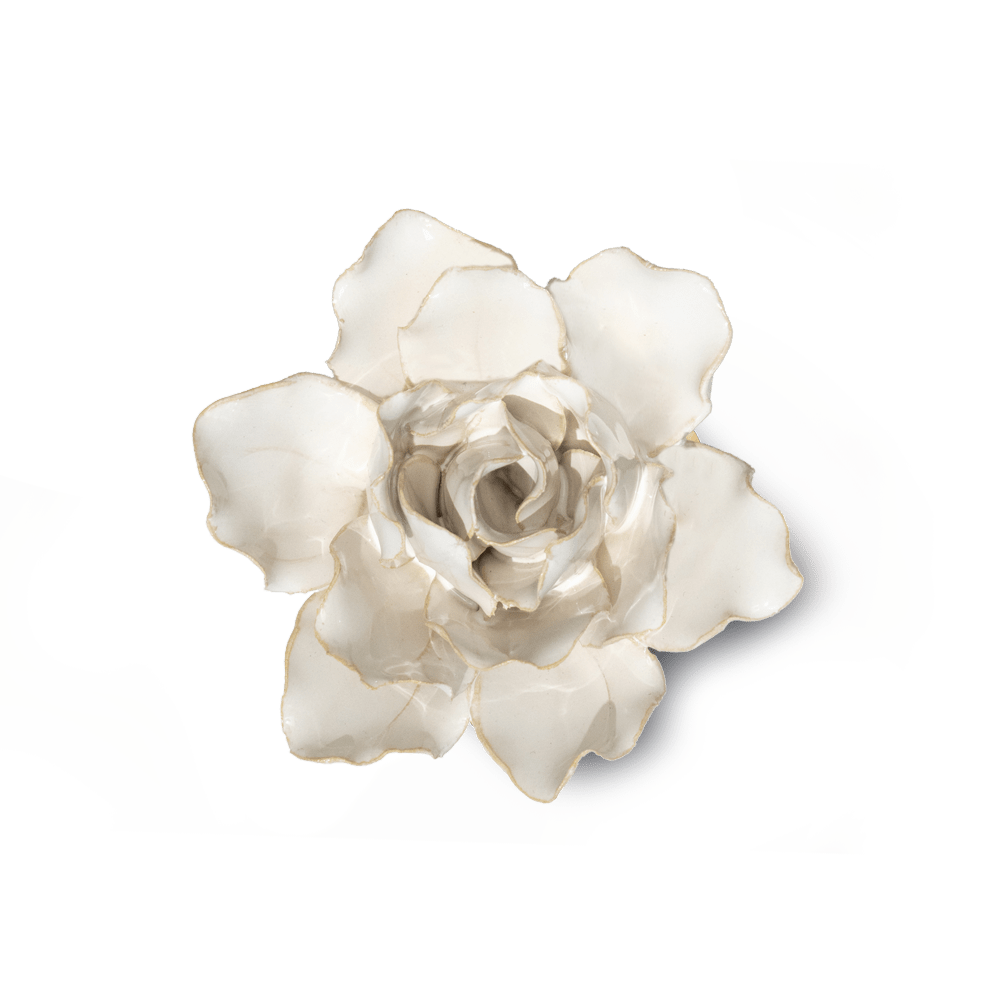 CO11 Ivory Stargazer Lily - Coastal - Chive UK Wholesale