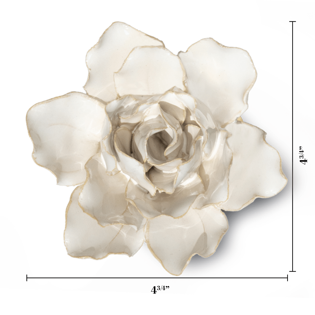 CO11 Ivory Stargazer Lily - Coastal - Chive UK Wholesale