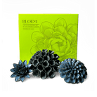 Ceramic Flower Bloem Box Set - Chive UK Wholesale