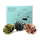 Ceramic Flower Blomma Box Set - Chive UK Wholesale