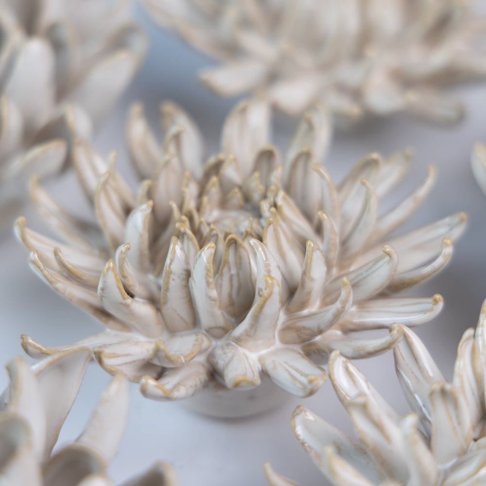 Ceramic Flower Coastal Curated Collection #5 - Chive UK Wholesale