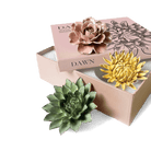 Ceramic Flower Dawn Box Set - Chive UK Wholesale