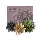 Ceramic Flower Dusk Box Set - Chive UK Wholesale