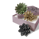 Ceramic Flower Dusk Box Set - Chive UK Wholesale