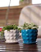 Convex Ceramic Pot With Drainage Hole And Saucer - Chive UK Wholesale