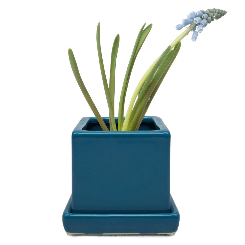 Cube & Saucer Ceramic Pot With Drainage Hole - Chive UK Wholesale