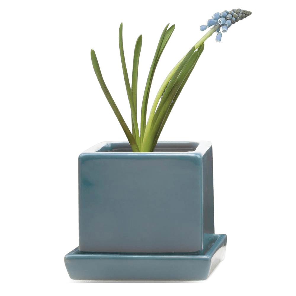 Cube & Saucer Ceramic Pot With Drainage Hole - Chive UK Wholesale