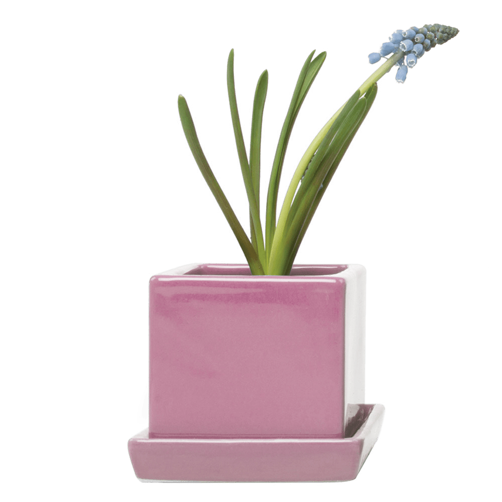 Cube & Saucer Ceramic Pot With Drainage Hole - Chive UK Wholesale