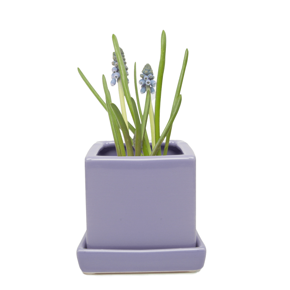 Cube & Saucer Ceramic Pot With Drainage Hole - Chive UK Wholesale