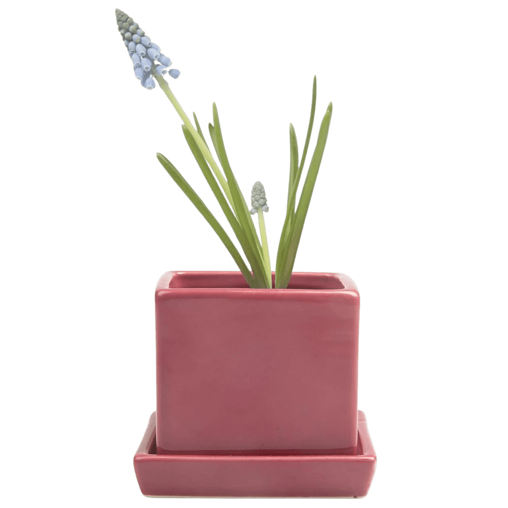 Cube & Saucer Ceramic Pot With Drainage Hole - Chive UK Wholesale