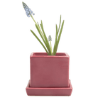 Cube & Saucer Ceramic Pot With Drainage Hole - Chive UK Wholesale