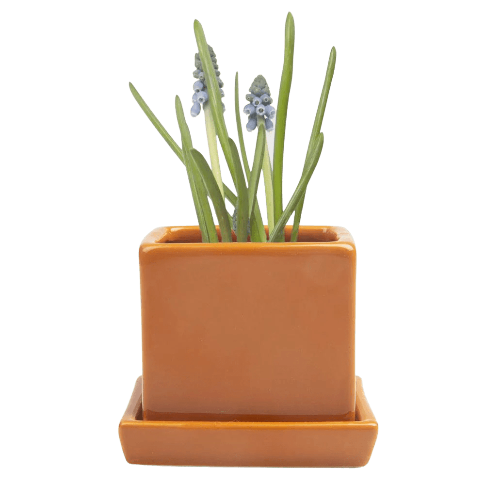 Cube & Saucer Ceramic Pot With Drainage Hole - Chive UK Wholesale