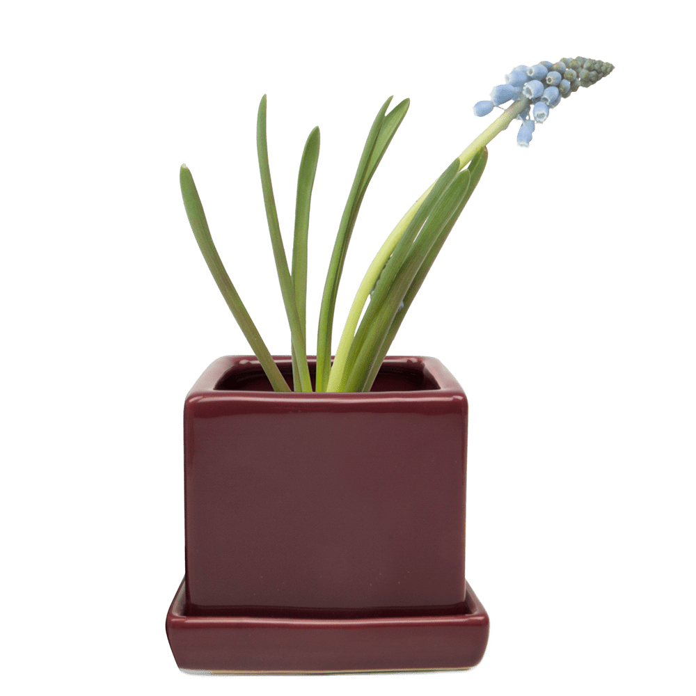 Cube & Saucer Ceramic Pot With Drainage Hole - Chive UK Wholesale