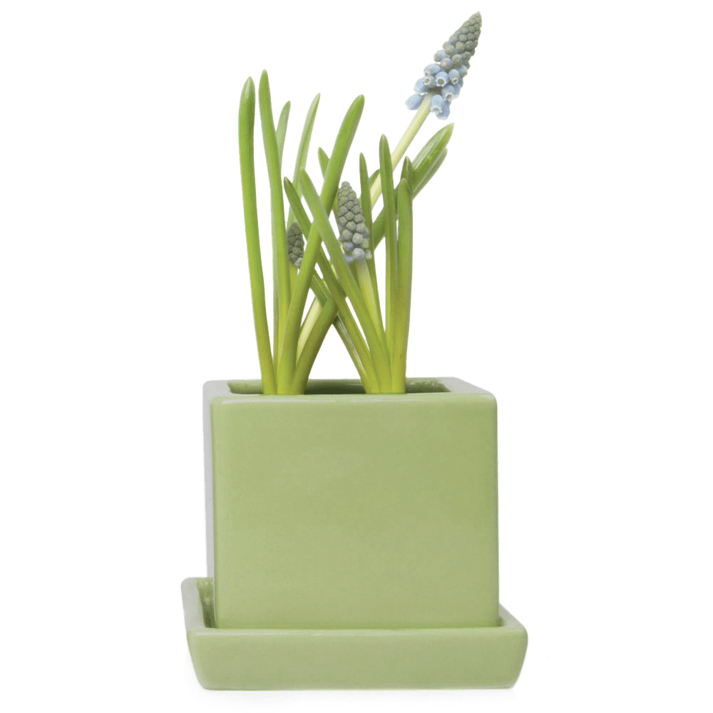 Cube & Saucer Ceramic Pot With Drainage Hole - Chive UK Wholesale