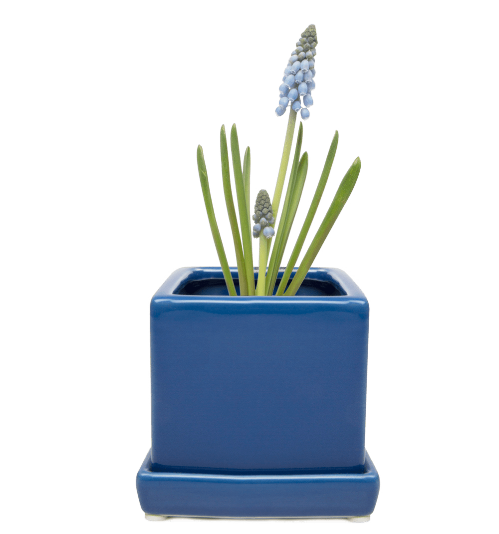 Cube & Saucer Ceramic Pot With Drainage Hole - Chive UK Wholesale