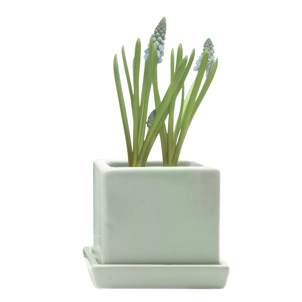 Cube & Saucer Ceramic Pot With Drainage Hole - Chive UK Wholesale