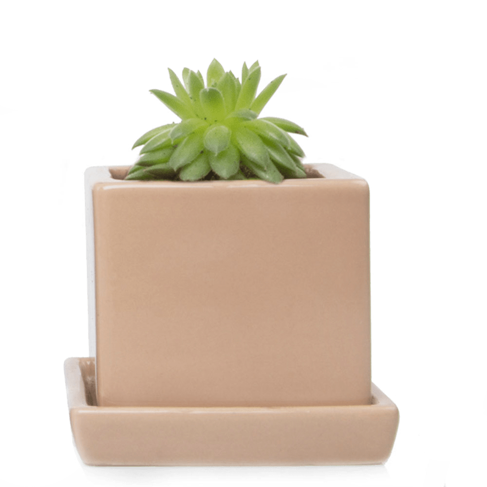 Cube & Saucer Ceramic Pot With Drainage Hole - Chive UK Wholesale