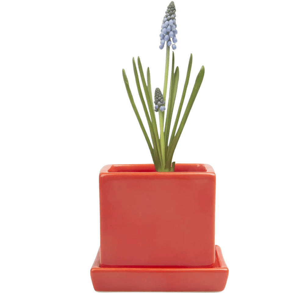 Cube & Saucer Ceramic Pot With Drainage Hole - Chive UK Wholesale