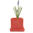 Cube & Saucer Ceramic Pot With Drainage Hole - Chive UK Wholesale