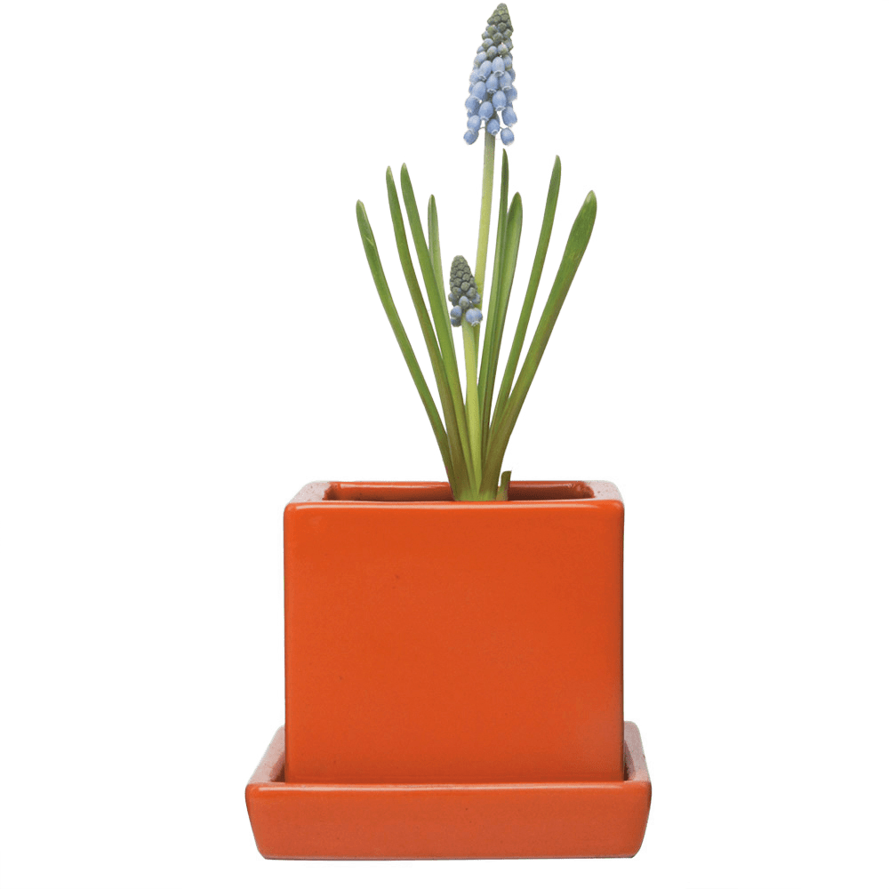 Cube & Saucer Ceramic Pot With Drainage Hole - Chive UK Wholesale