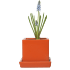 Cube & Saucer Ceramic Pot With Drainage Hole - Chive UK Wholesale