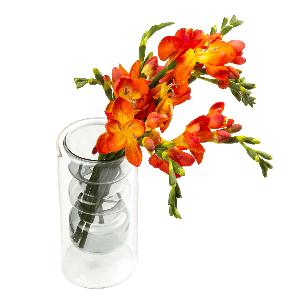 Cylinder Glass Modern Flower Vase - Chive UK Wholesale