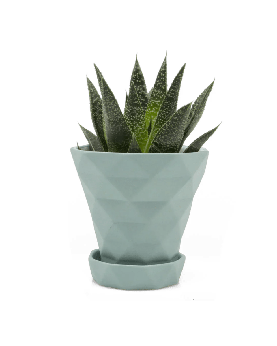 Diamond Porcelain Modern Indoor Plant Pot With Saucer Kit - Chive UK Wholesale