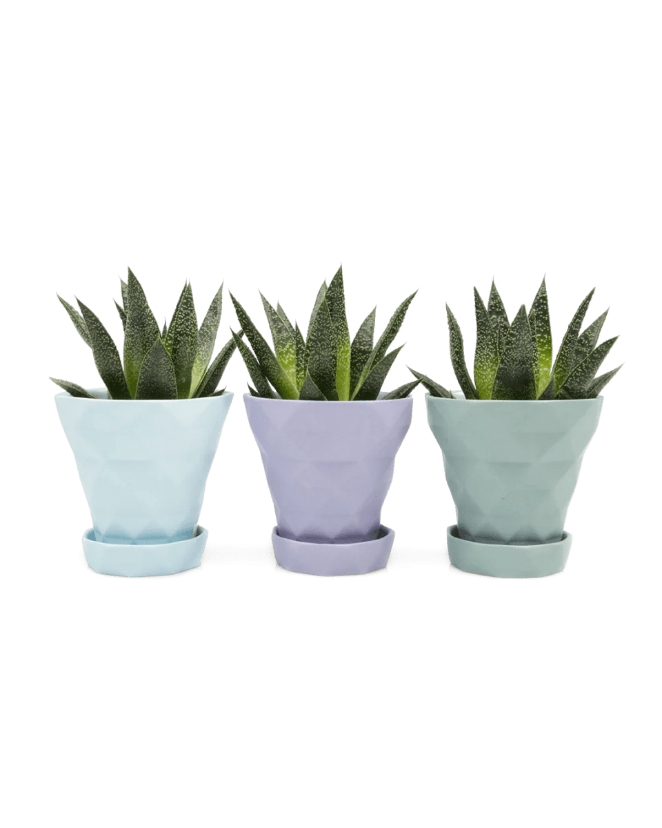 Diamond Porcelain Modern Indoor Plant Pot With Saucer Kit - Chive UK Wholesale