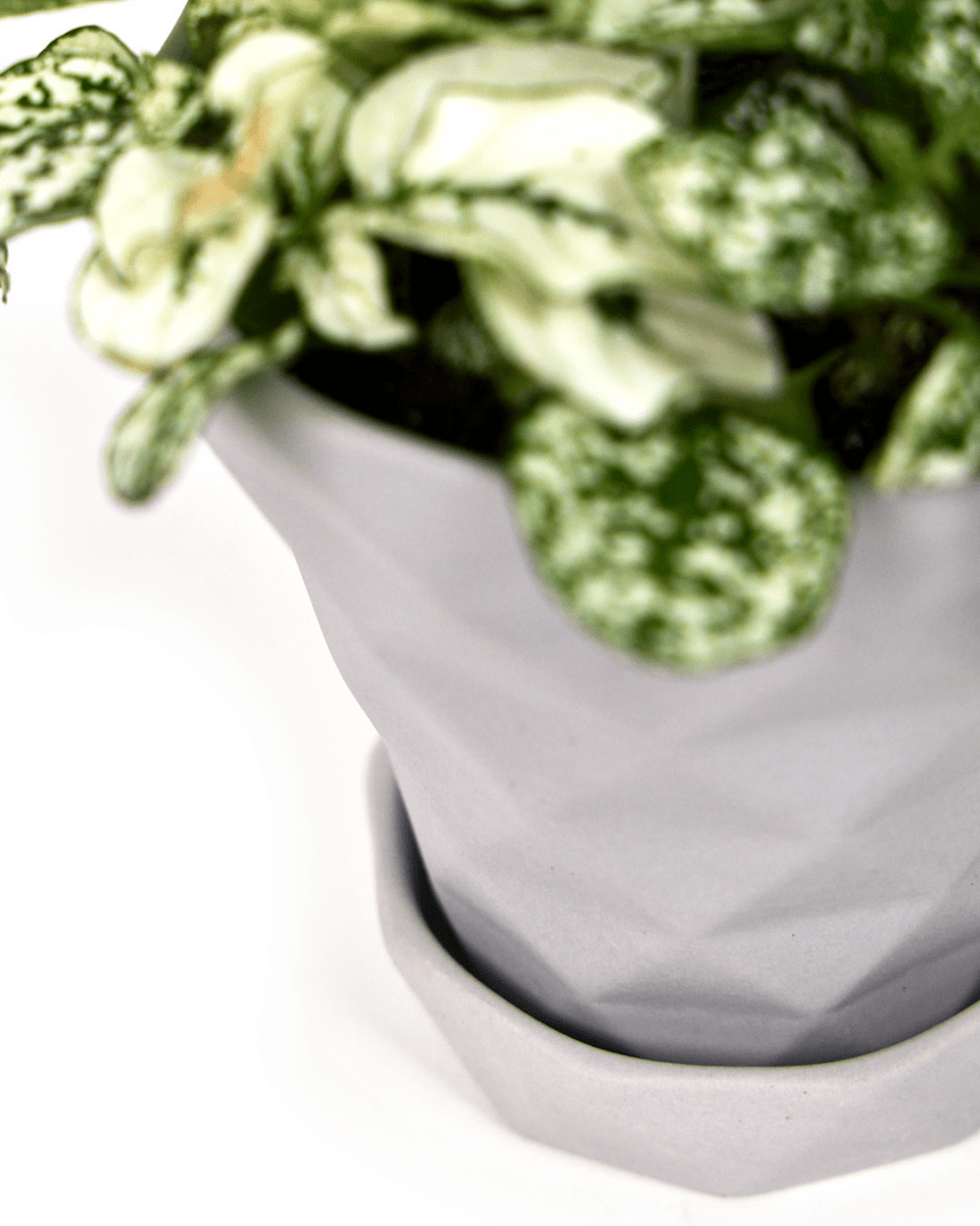 Diamond Porcelain Modern Indoor Plant Pot With Saucer - Chive UK Wholesale