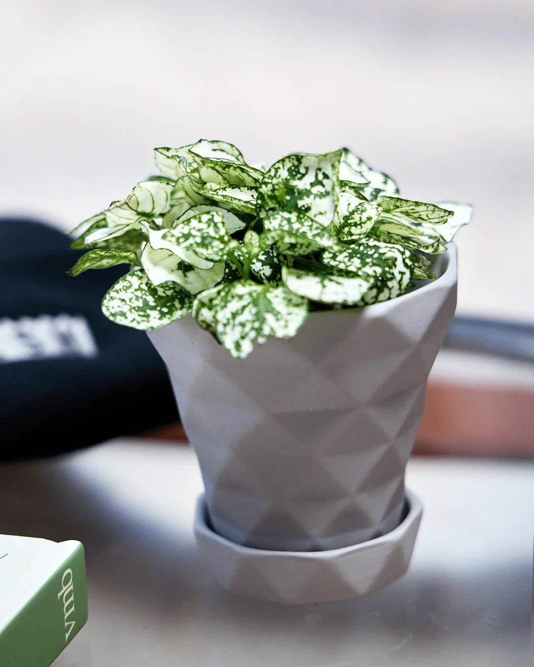 Diamond Porcelain Modern Indoor Plant Pot With Saucer Kit - Chive UK Wholesale