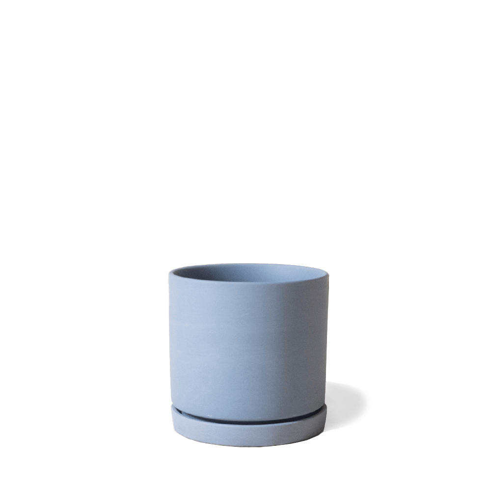 Dojo Porcelain Modern Indoor Plant Pot With Saucer - Chive UK Wholesale