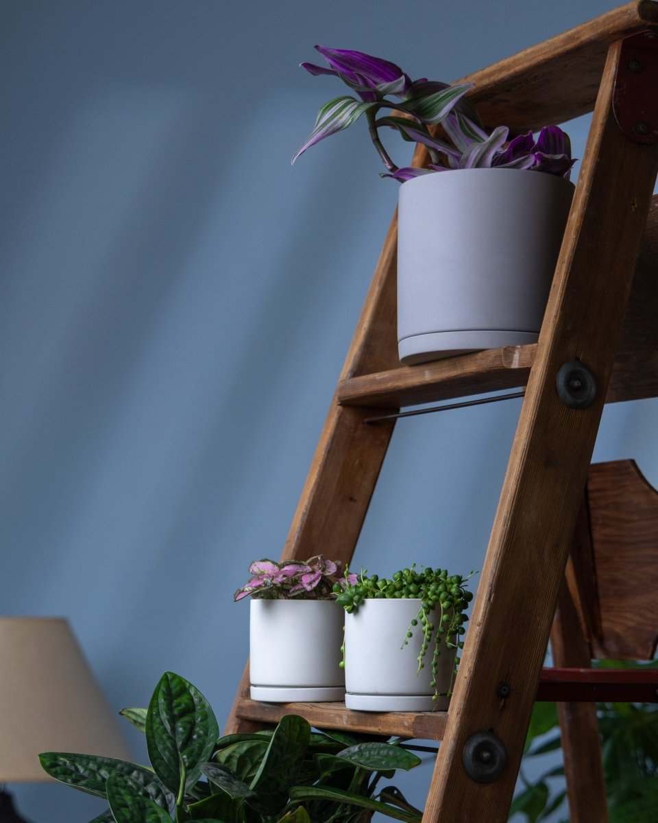 Dojo Porcelain Modern Indoor Plant Pot With Saucer - Chive UK Wholesale