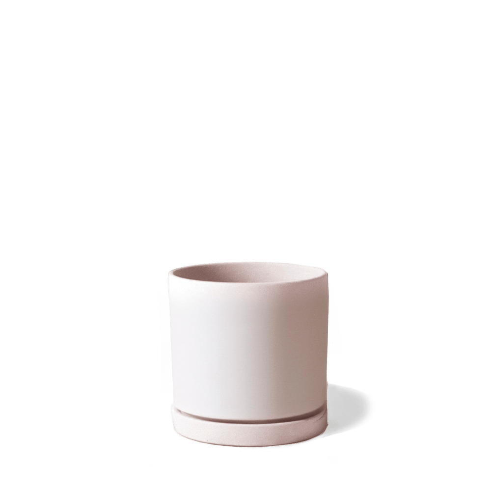 Dojo Porcelain Modern Indoor Plant Pot With Saucer - Chive UK Wholesale