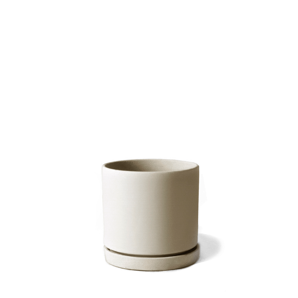 Dojo Porcelain Modern Indoor Plant Pot With Saucer - Chive UK Wholesale