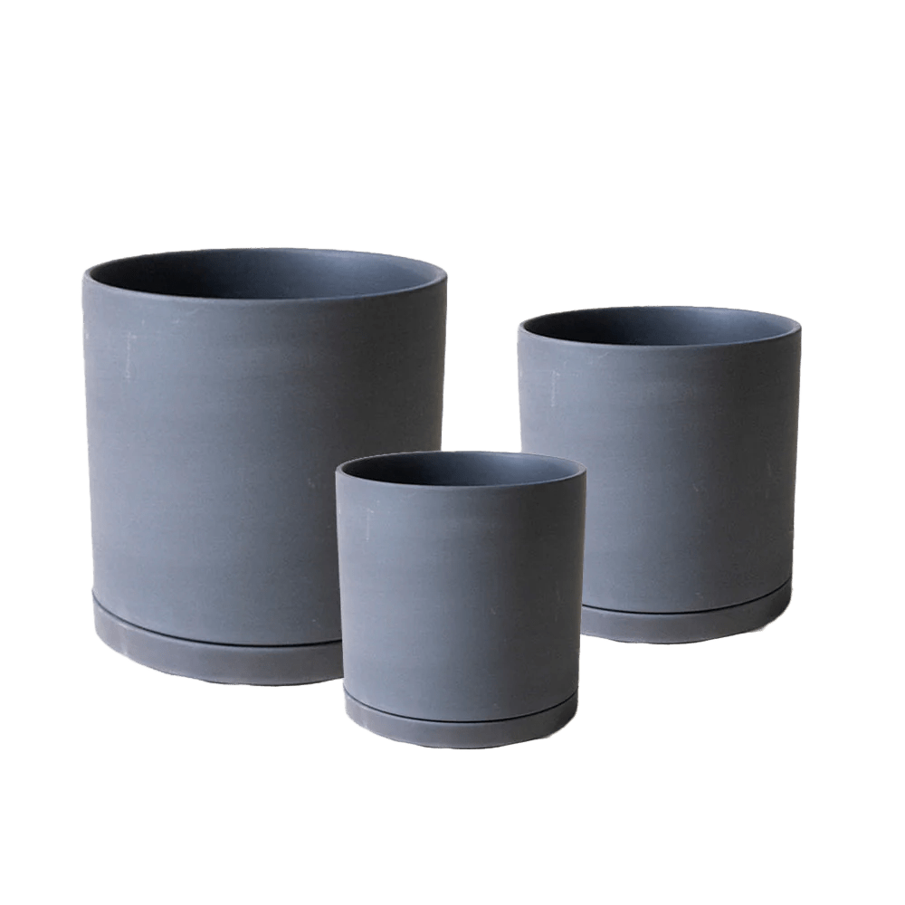 Dojo Porcelain Modern Indoor Plant Pot With Saucer - Chive UK Wholesale