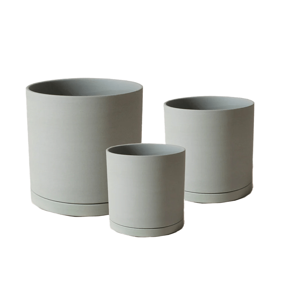 Dojo Porcelain Modern Indoor Plant Pot With Saucer - Chive UK Wholesale