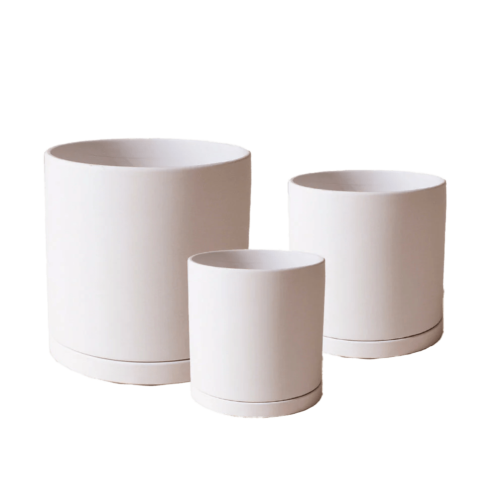 Dojo Porcelain Modern Indoor Plant Pot With Saucer - Chive UK Wholesale