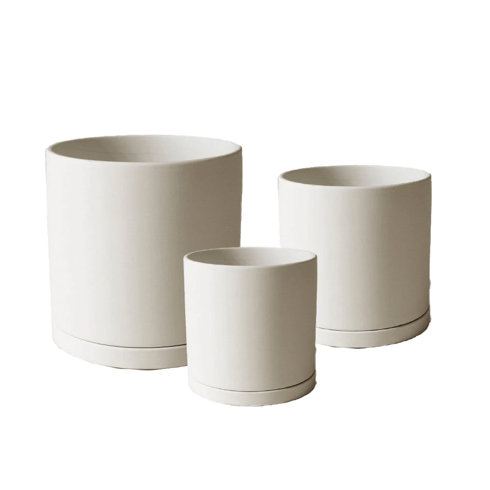 Dojo Porcelain Modern Indoor Plant Pot With Saucer - Chive UK Wholesale