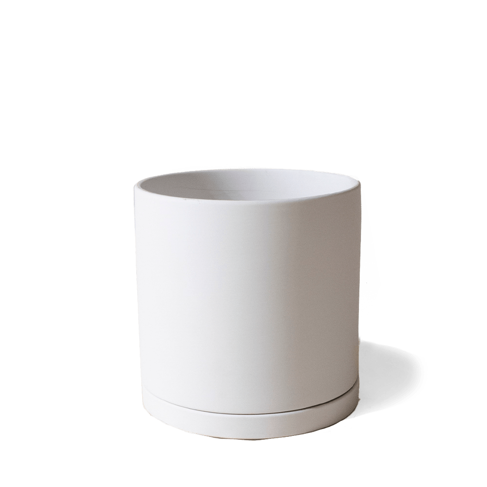 Dojo Porcelain Modern Indoor Plant Pot With Saucer - Chive UK Wholesale