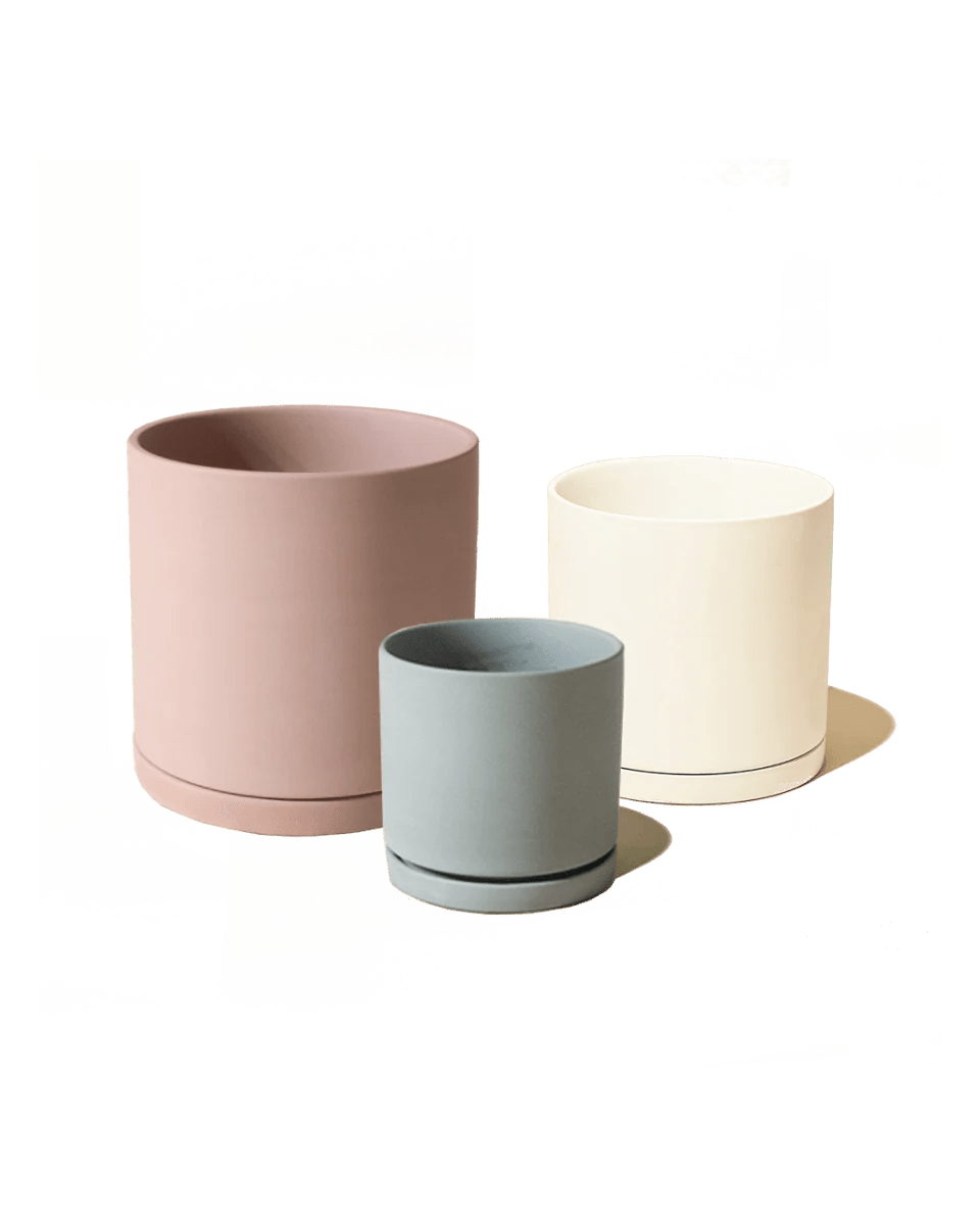 Dojo Porcelain Modern Indoor Plant Pot With Saucer Kits - Chive UK Wholesale