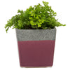 Duo Ceramic Planter With Drainage Hole And Saucer Kit
