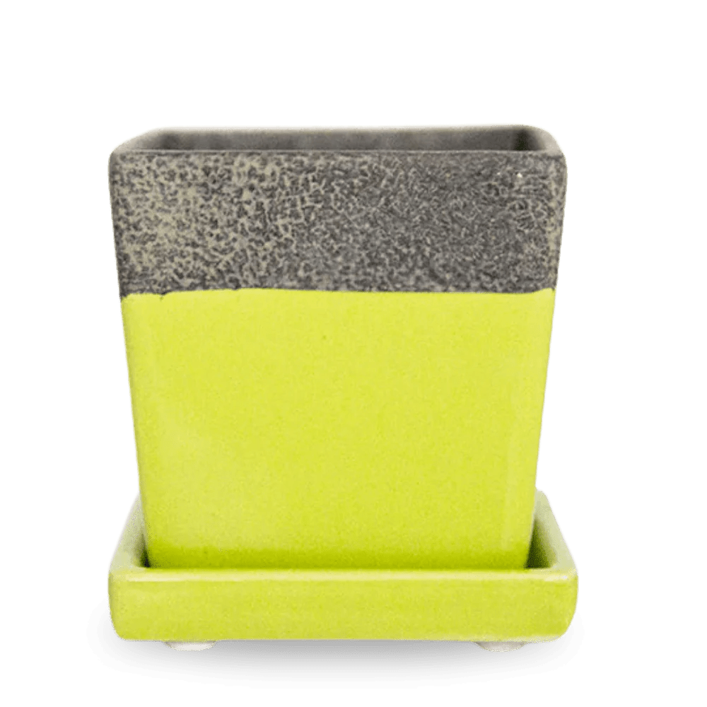 Duo Ceramic Planter With Drainage Hole And Saucer Kit - Chive UK Wholesale