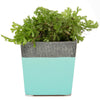 Duo Ceramic Planter With Drainage Hole And Saucer Kit