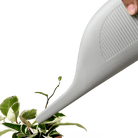 Duenas Ceramic Watering Jug - Chive UK Wholesale