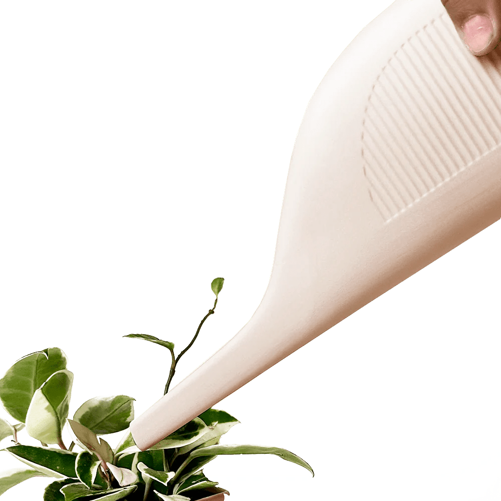 Duenas Ceramic Water Jug Kit - Chive UK Wholesale