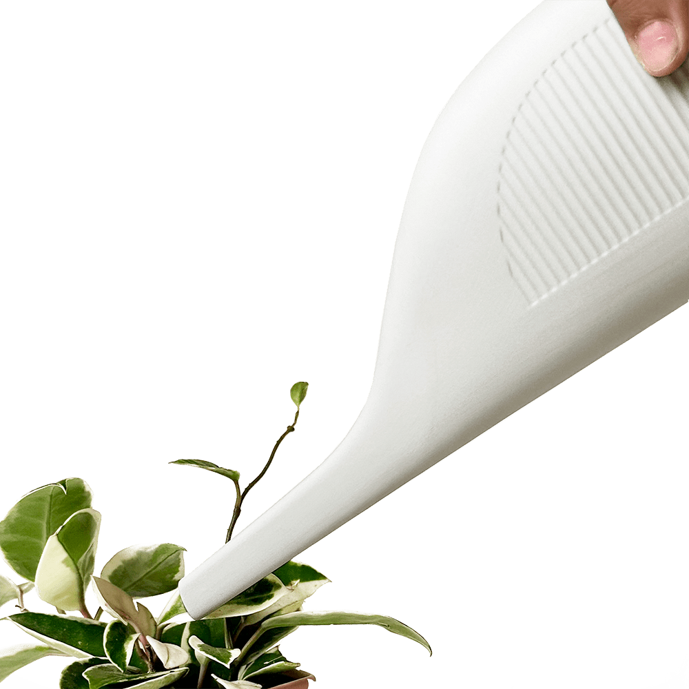 Duenas Ceramic Watering Jug - Chive UK Wholesale