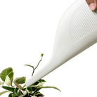 Duenas Ceramic Watering Jug - Chive UK Wholesale