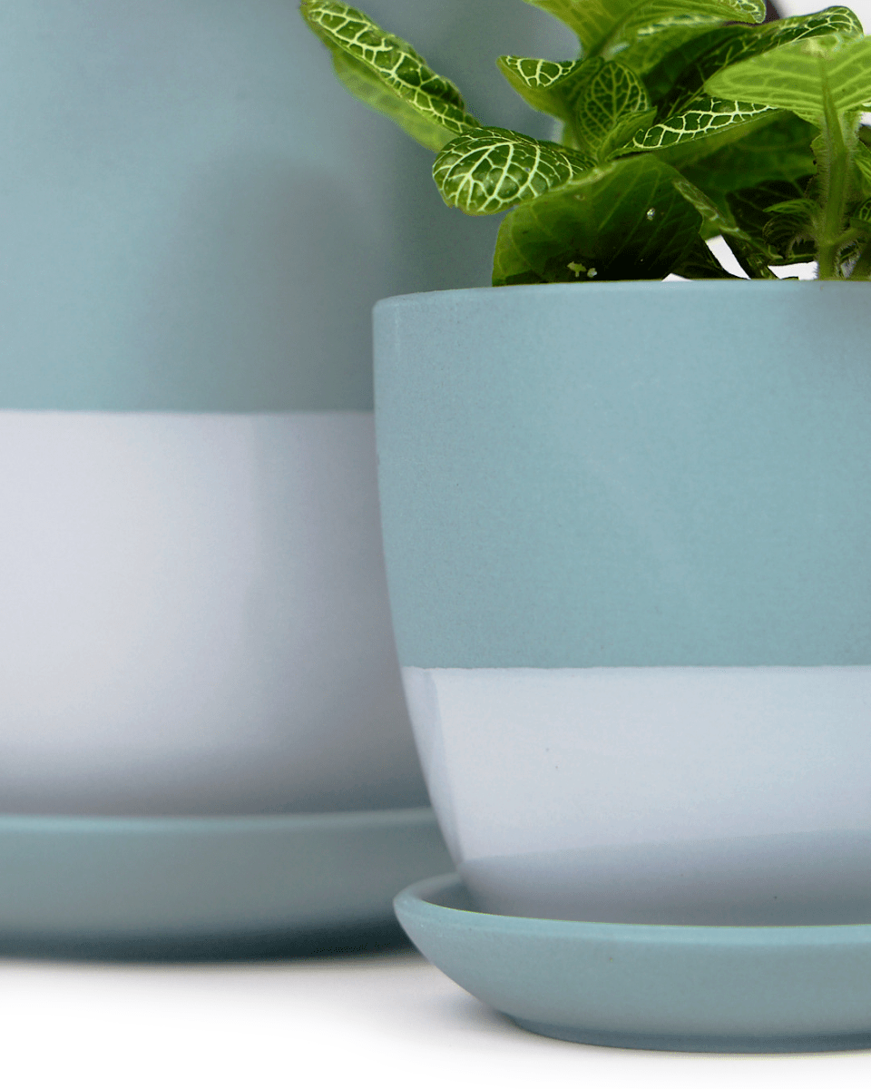 Dyad Porcelain Modern Indoor Plant Pot With Saucer - Chive UK Wholesale